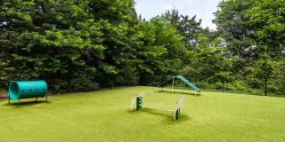 Avery at Turkey Creek Gallery 9