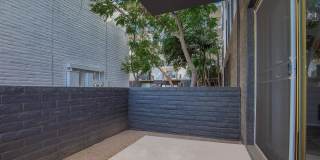 Bellevue Towers Gallery 36