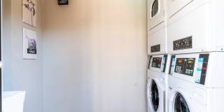 Mandarin Bay Gallery 36