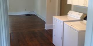 223 Lyndon Avenue Gallery 12