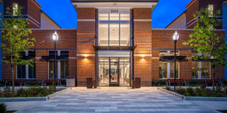 Monarch Gallery 41