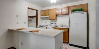 Russian Jack Gallery 3