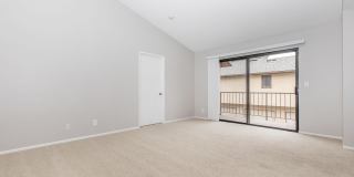 Mountain Springs Gallery 16