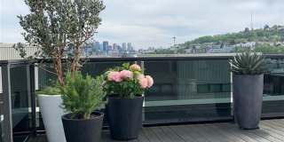 1760 N Northlake Wy Gallery 31