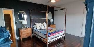 12409 NINA PEARL Drive Gallery 28