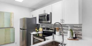 Boca Arbor Club Gallery 16