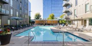 The Fenley Gallery 31