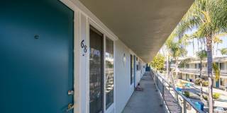 Aztec Pacific Gallery 16