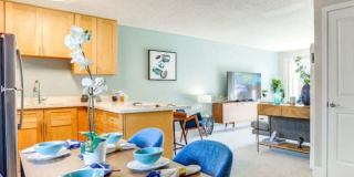 Rica Vista Gallery 6