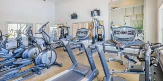 Arbor Village Gallery 20