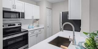 Sabal Palm at Lake Buena Vista Gallery 1