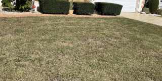 107 Whitetail Court Gallery 1