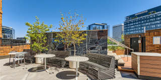 Elm Row Gallery 33