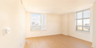 The Veridian Gallery 40