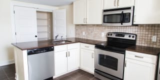 Paradise Flats Gallery 20