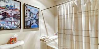 Top-Floor Serenity: Bright & Modern Fully Furnished Boulder Retreat Gallery 21