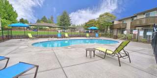 The Zimmer Gallery 28