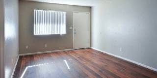 Gilbert Square Gallery 7