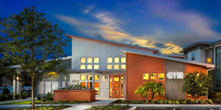 Crosstown Walk Gallery 35