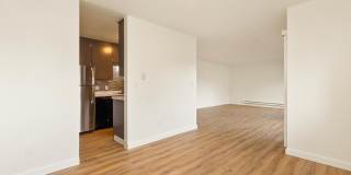 Fiesta Manor Gallery 21