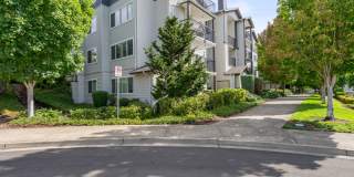 Sofi at Cedar Mill Gallery 39