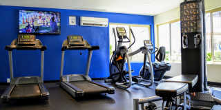 La Jolla Canyon Gallery 18