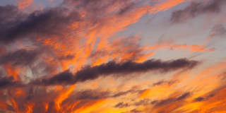 416 Virginia St 416 Virginia St Gallery 43