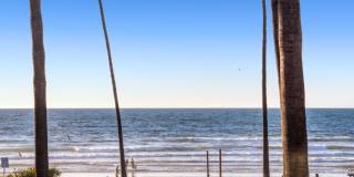 Stunning, Luxury La Jolla Shores Location with Panoramic Ocean Views!! Gallery 83