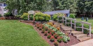 Walden Pond Gallery 21