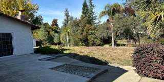 Mature dog considered. Nice home, convenient location off Placer & Wisconsin, Rdg. Gallery 37