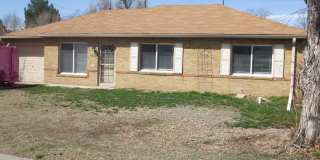 Spacious 4 bedroom 2 bath house with large backyard! Gallery 1