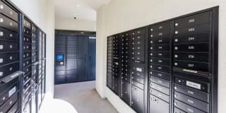 The Seaton Gallery 21