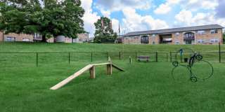 Eagles Crest at Jack Miller Gallery 12