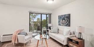 Sage Grove on Aaron Gallery 5