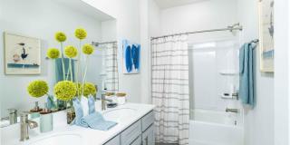 Amavi Twin Lakes Gallery 11