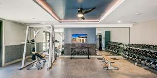 The Cameron Gallery 7