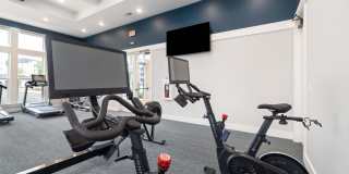 Arlow at Blue Ridge Gallery 32