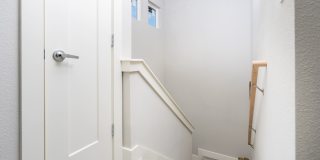 Mihir Taylor Gallery 16