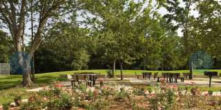 Acadian Crossing/Utilities Included Gallery 12