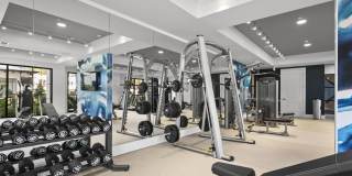 Arabelle Clearwater Gallery 35