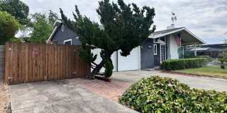 Updated Large 3 bedroom 2 bathroom home Gallery 3