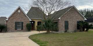 Pelican Crossing Gallery 1