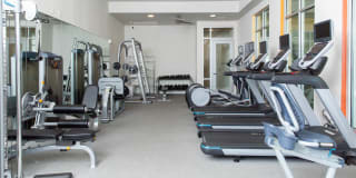 Flora Apartments Gallery 27