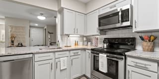 Ellipse at Fairfax Corner Gallery 9