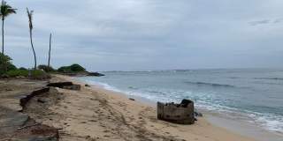 Oceanviews Private 1 bed / 1 bath sep. cottage. "INCL ALL utilities + WIFI internet". Furnished. Gallery 21