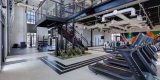 Culdesac Tempe Gallery 32