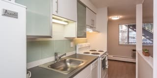 805 Dahlia Gallery 16