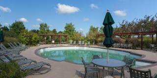 24673 NETTLE MILL Square Gallery 31