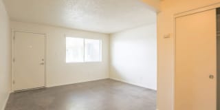 Carol Mary Gallery 7
