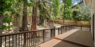 10311 Clusterberry Ct Gallery 33